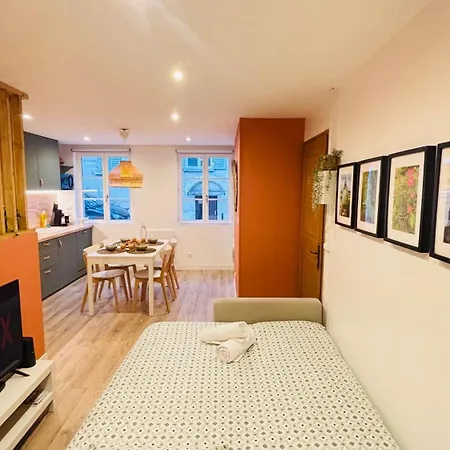 La Demeure Des Troubadours - Hyper Centre Appartement